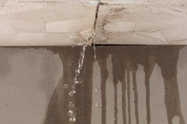 Professional Sewage Cleanup technician working in Chesapeake, WV